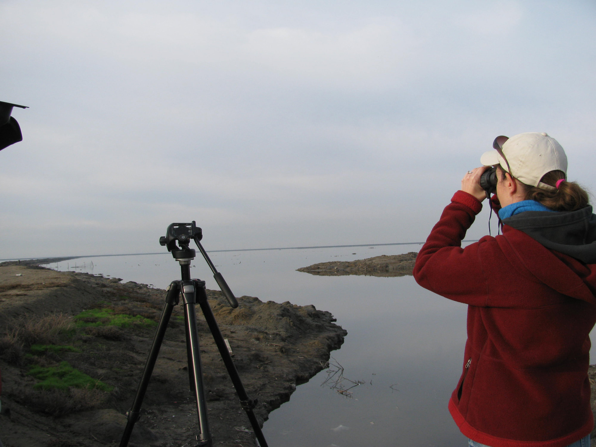 Young Birder Learns the Secrets to Identifying Birds by Sound